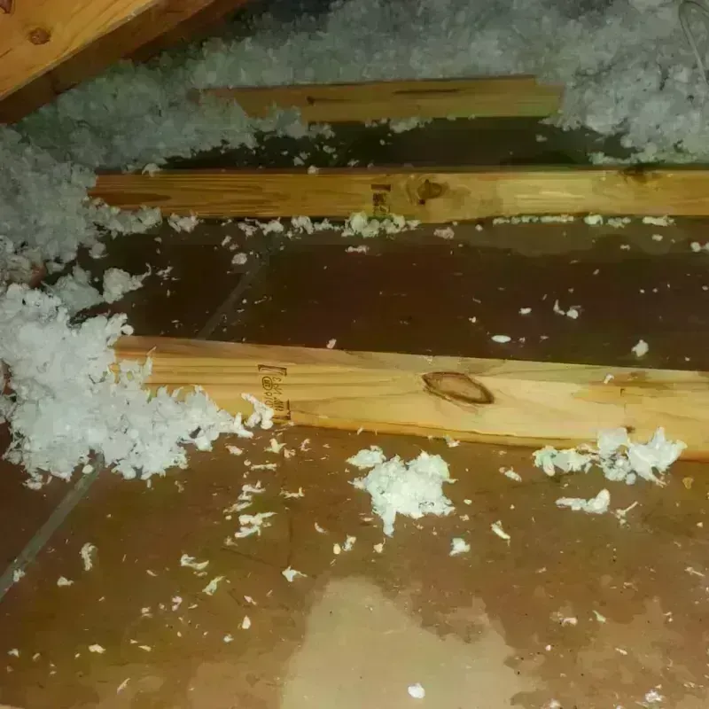 Attic Water Damage in Sleepy Hollow, IL