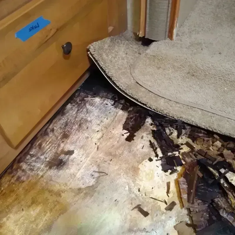 Wood Floor Water Damage in Sleepy Hollow, IL